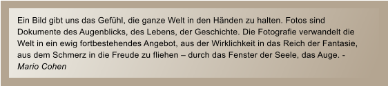 Ein Bild gibt uns das Gefhl, die ganze Welt in den Hnden zu halten. Fotos sind  Dokumente des Augenblicks, des Lebens, der Geschichte. Die Fotografie verwandelt die  Welt in ein ewig fortbestehendes Angebot, aus der Wirklichkeit in das Reich der Fantasie,  aus dem Schmerz in die Freude zu fliehen  durch das Fenster der Seele, das Auge. - Mario Cohen